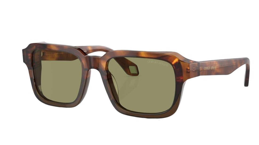 GIORGIO ARMANI  8194U 598814 53-19  Güneş Gözlüğü