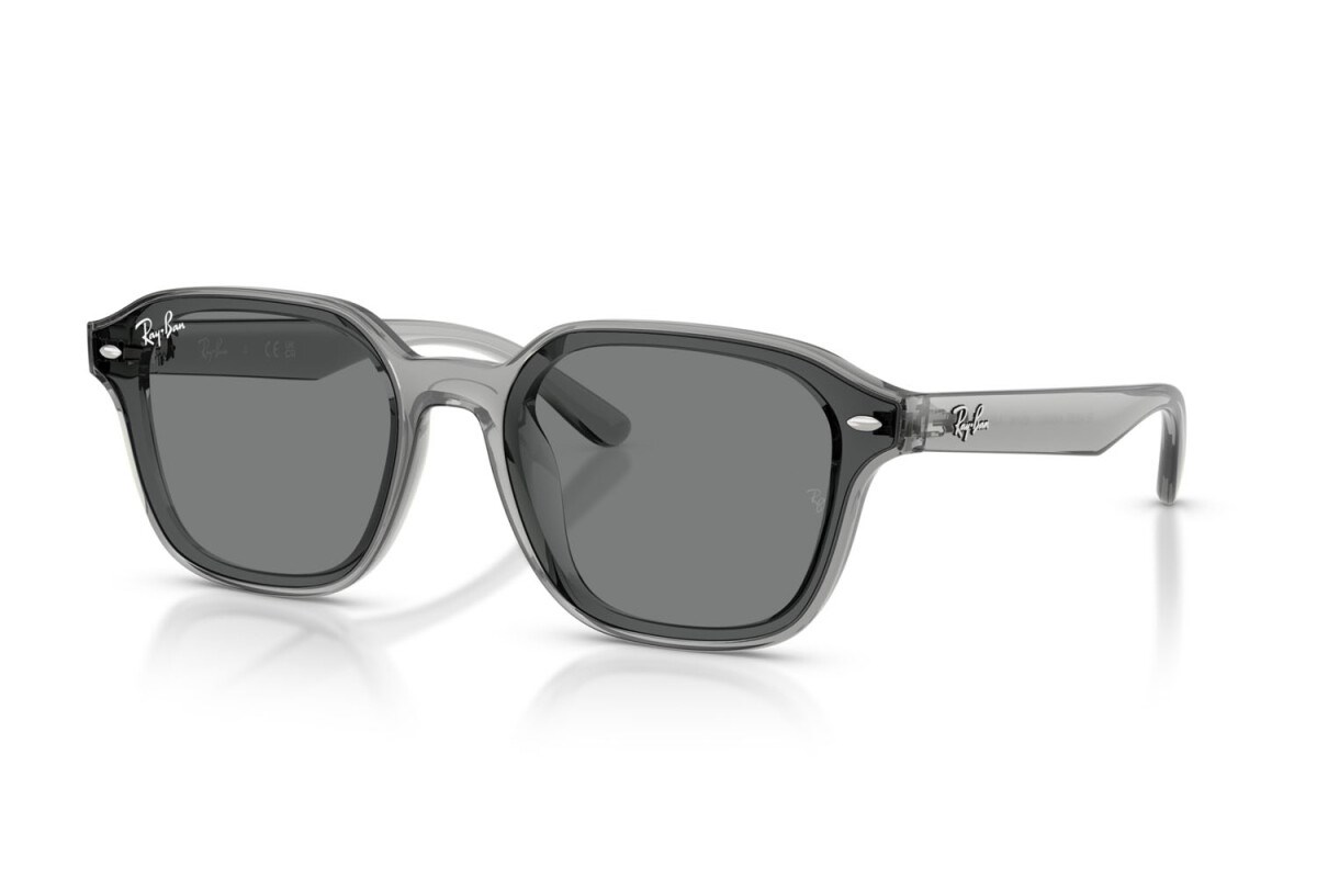 Ray-ban  4458D 645087 65-18  Güneş Gözlüğü