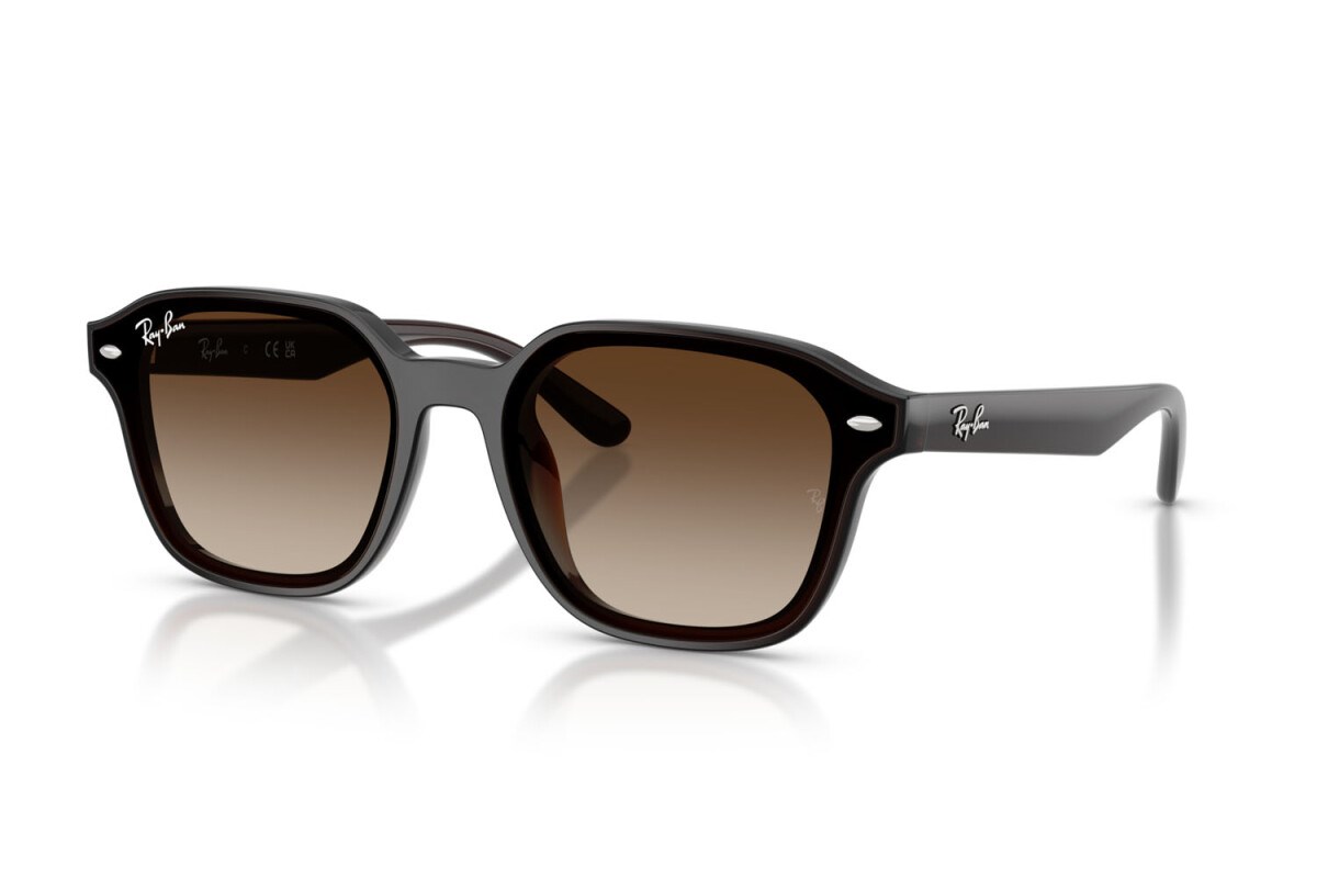 Ray-ban  4458D 714/13 65-18  Güneş Gözlüğü