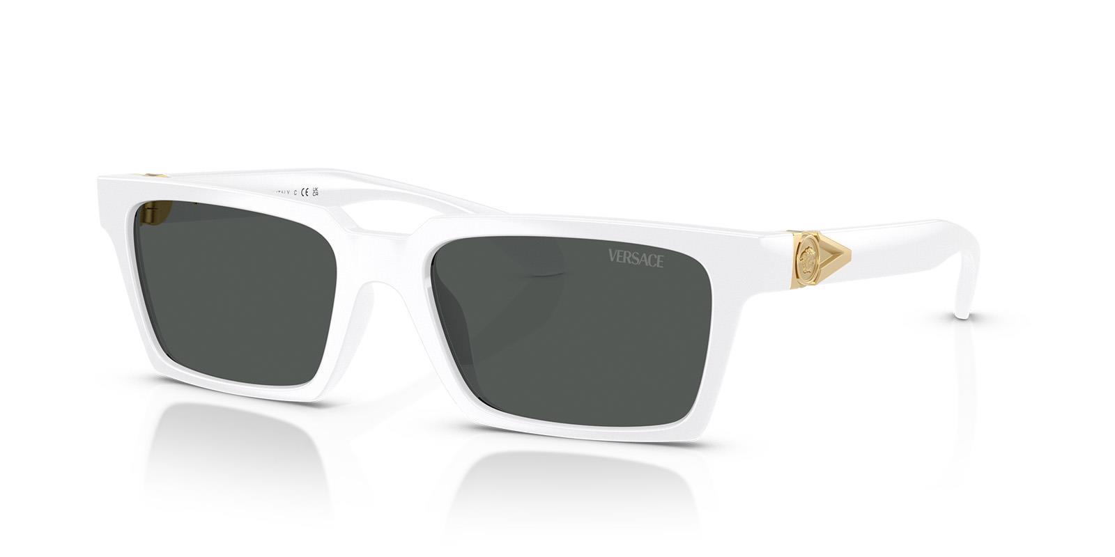 Versace VE4490U 314/87 55 Erkek Güneş Gözlüğü  