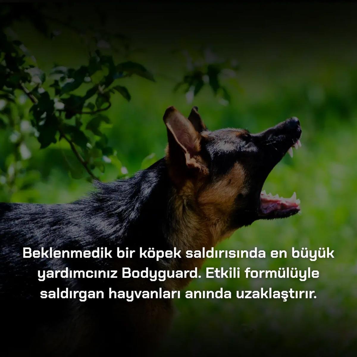 Bodyguard Biber Gazı 40ml 3 Adet Orijinal