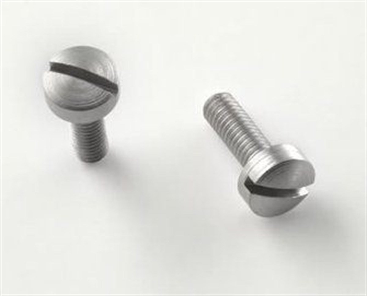 Ruger P85 Kabze Vidası Paslanmaz Çelik Krom