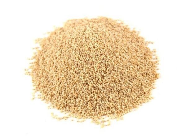 Haşhaş Sarı 25 kg