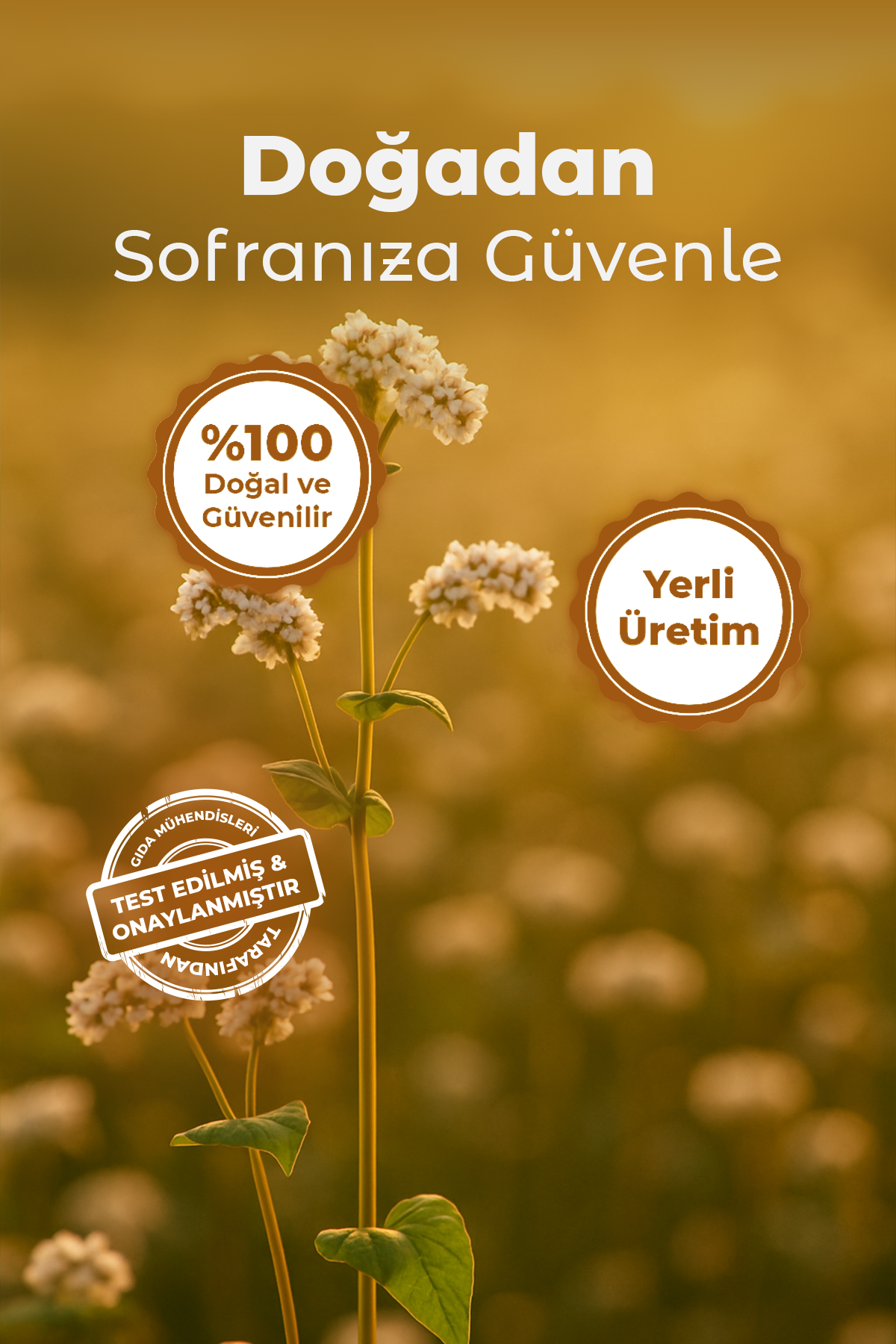 Polyfago Glutensiz Karabuğday Pandispanya Unu Karışımı 450 gr