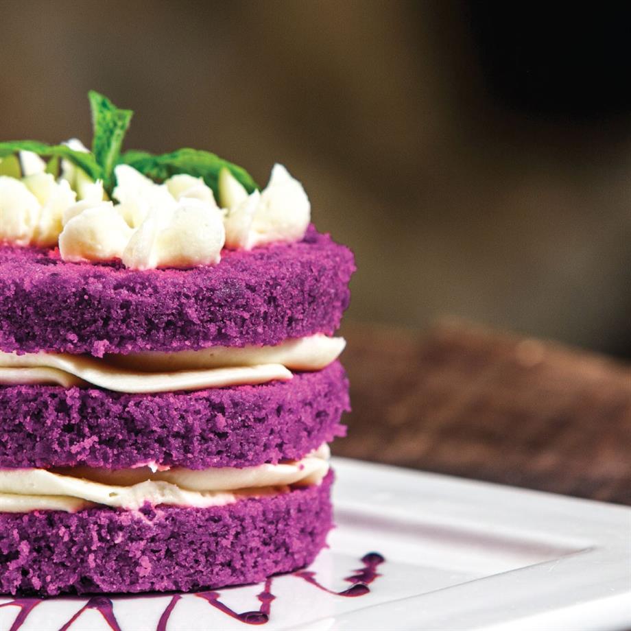 Puratos 4012503 Tegral Satin Purple Velvet Kek Karışımı 10 kg