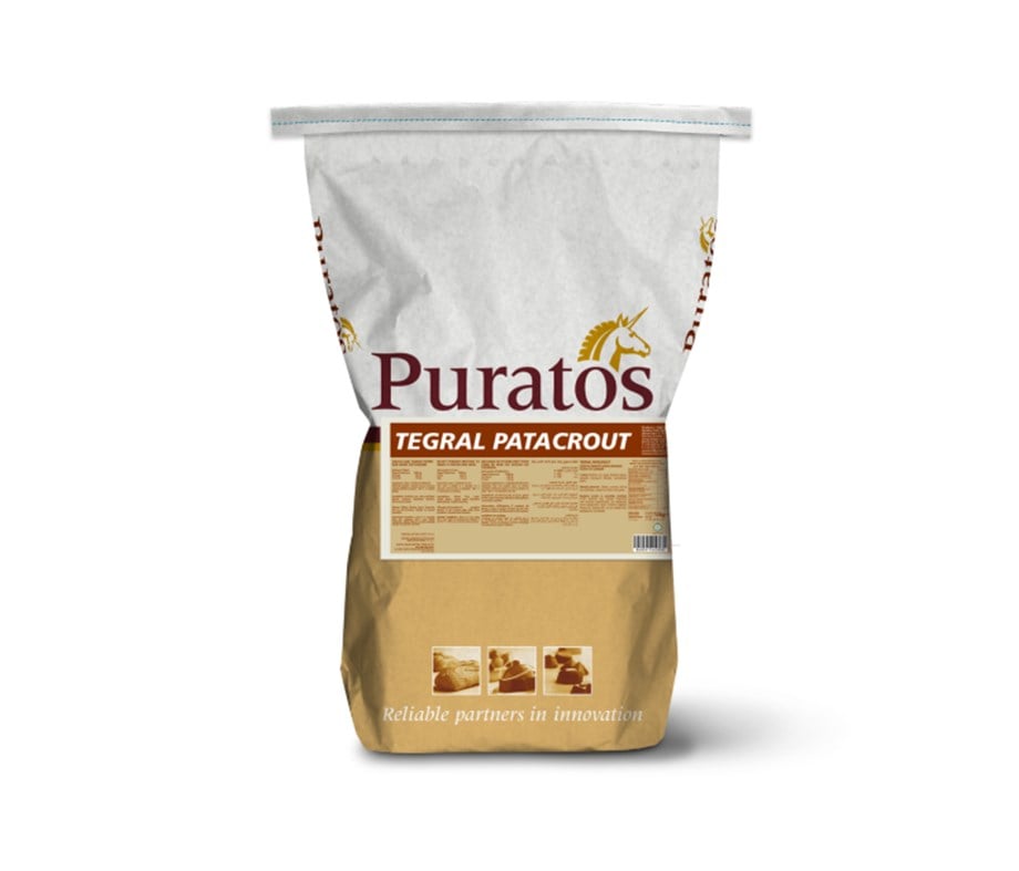 Puratos 4111987 Tegral Patacrout 10 kg