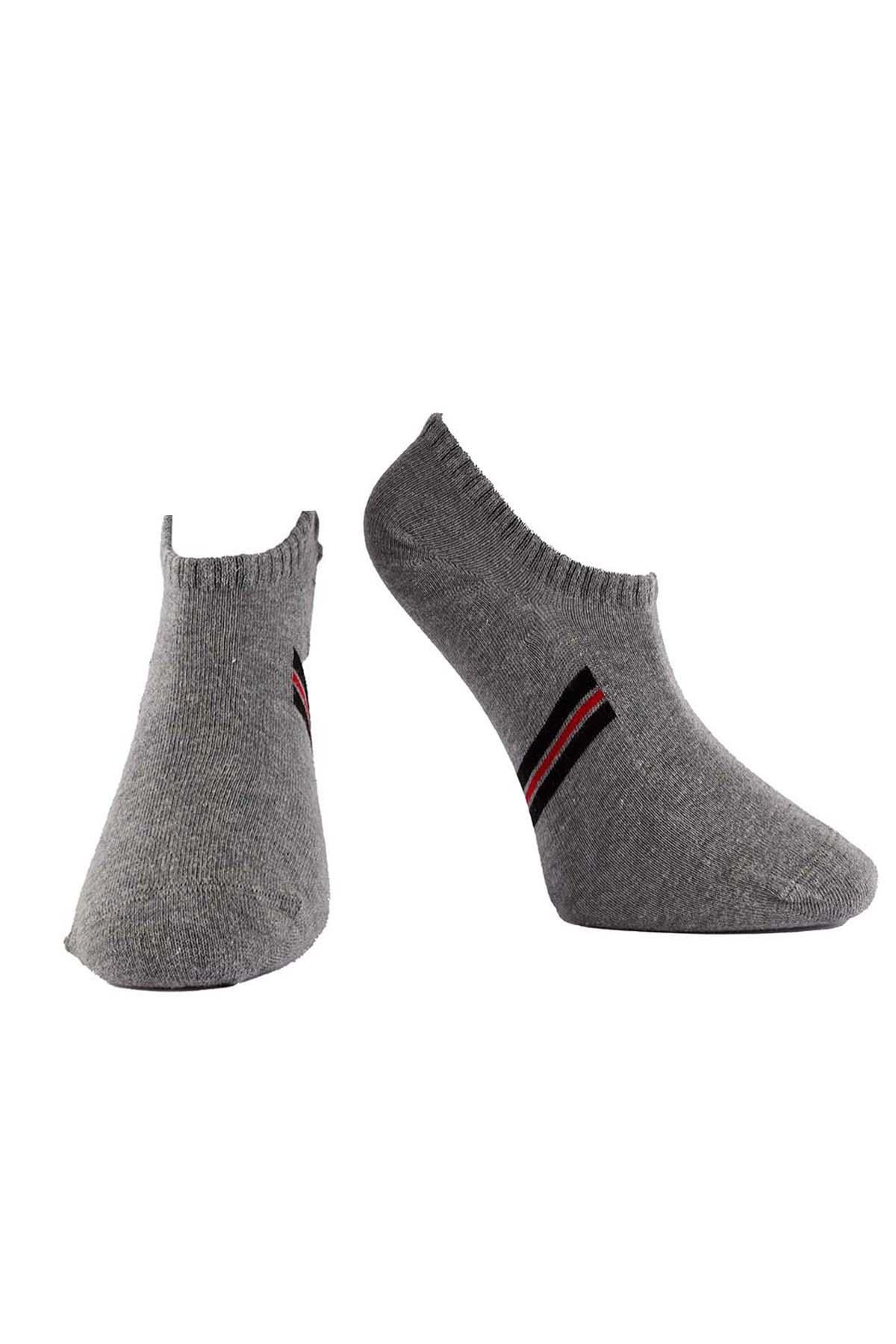 Erkek 4'lü Sneaker Çorap Asorti 7709