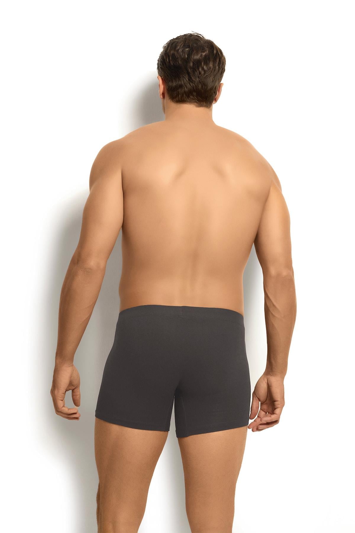 Erkek Füme Modal Pamuklu 3'lü Boxer 255