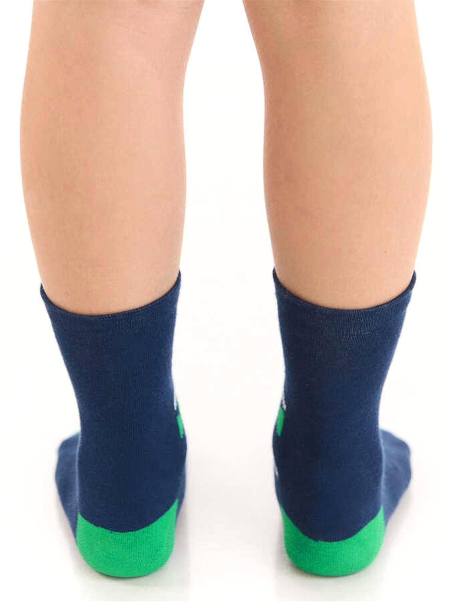 Denokids Erkek Çocuk Tırtır Dinazor Soket Çorap 2 Çift Takım Lacivert Yeşil CFF-22S1-125