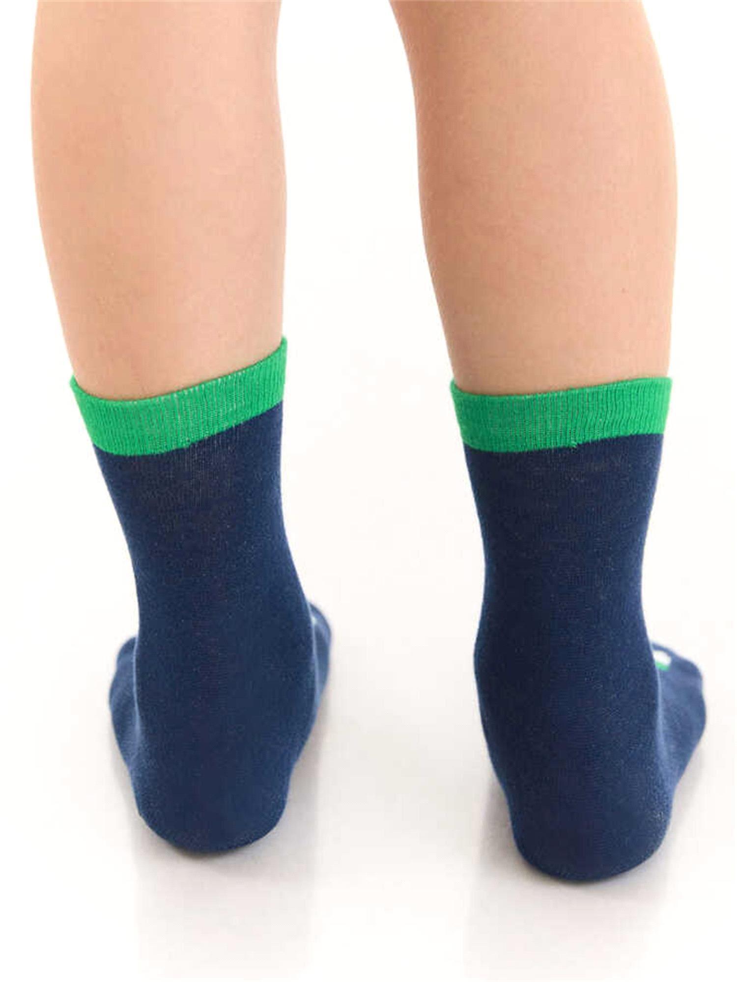 Denokids Erkek Çocuk Tırtır Dinazor Soket Çorap 2 Çift Takım Lacivert Yeşil CFF-22S1-125