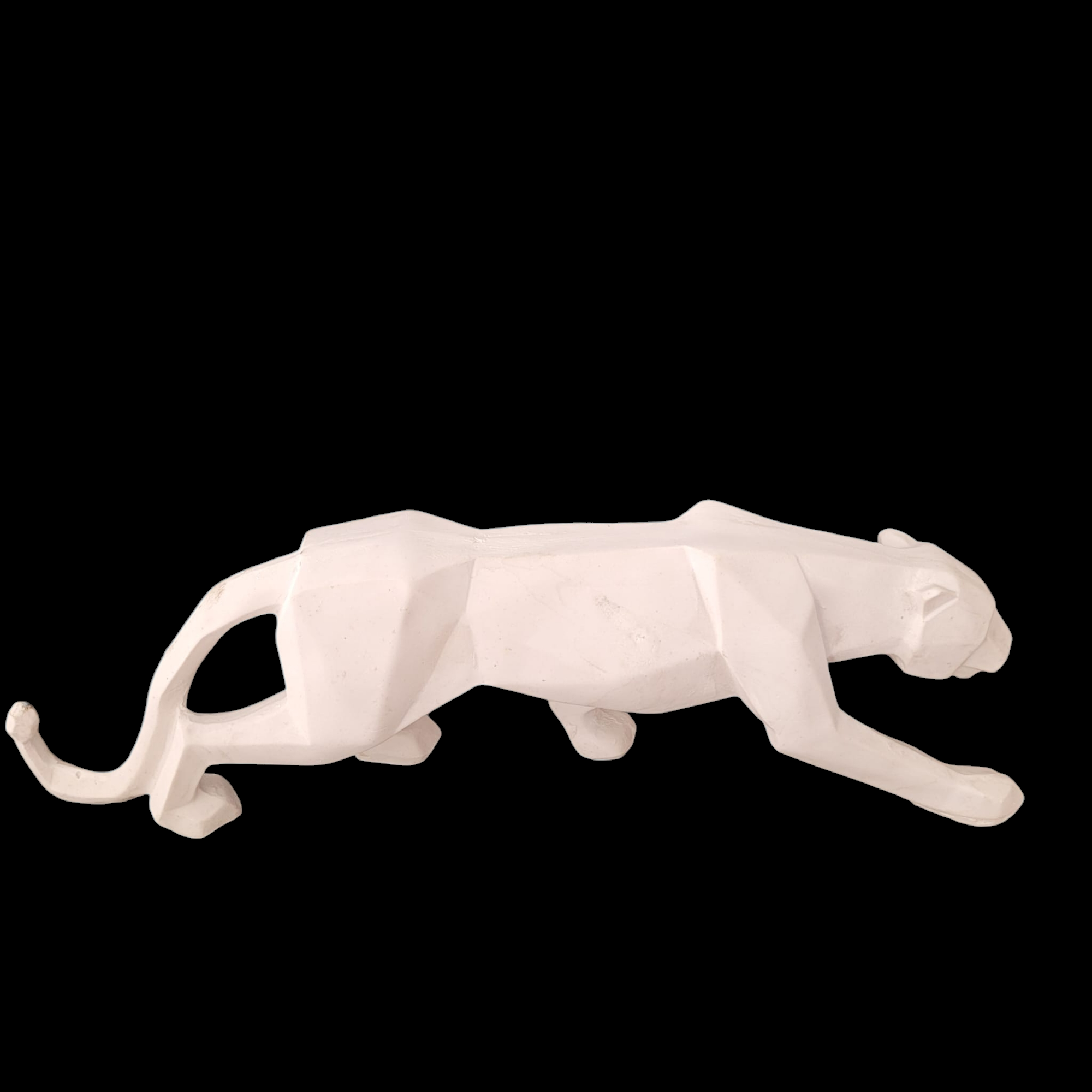 POLYESTER PUMA