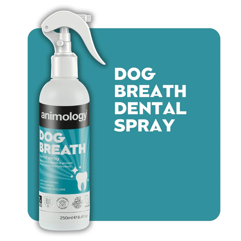 Animology Dog Breath Dental Spray Köpek Nefes ve Diş Bakım Spreyi 250ml - ANI001-FG-00005