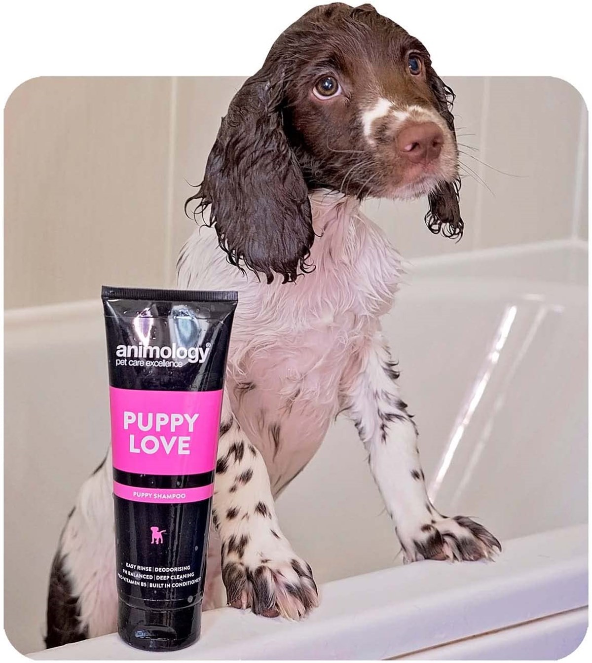 Animology Puppy Love Shampoo Yavru Köpek Şampuanı 250  ML - APL250