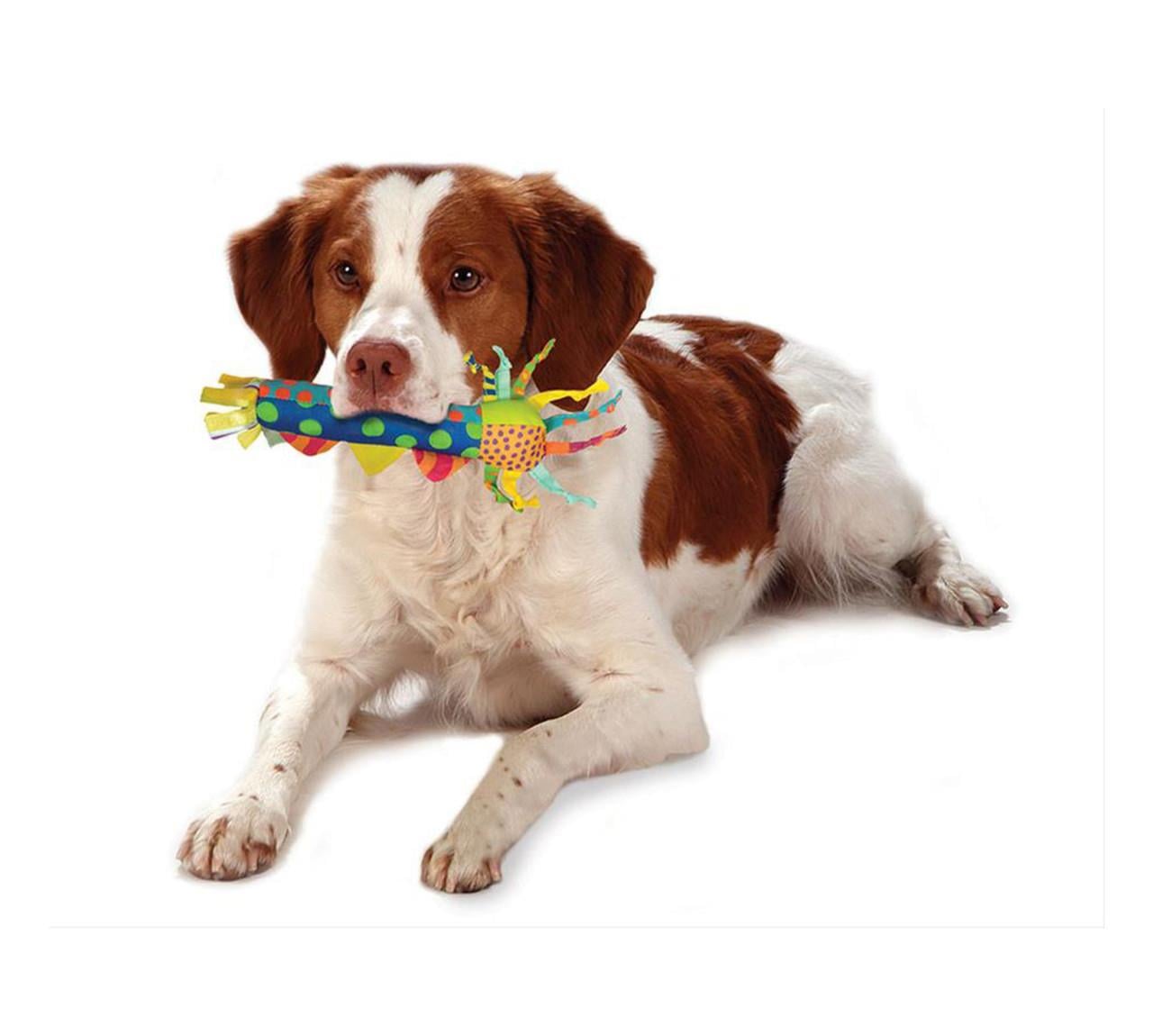 Cool Teething Stick Dog Toy - 126