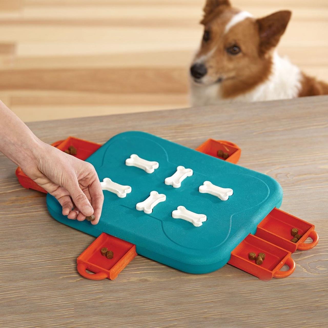 Dog Casino Turquoise İnteraktif Köpek Oyuncağı - 67334M
