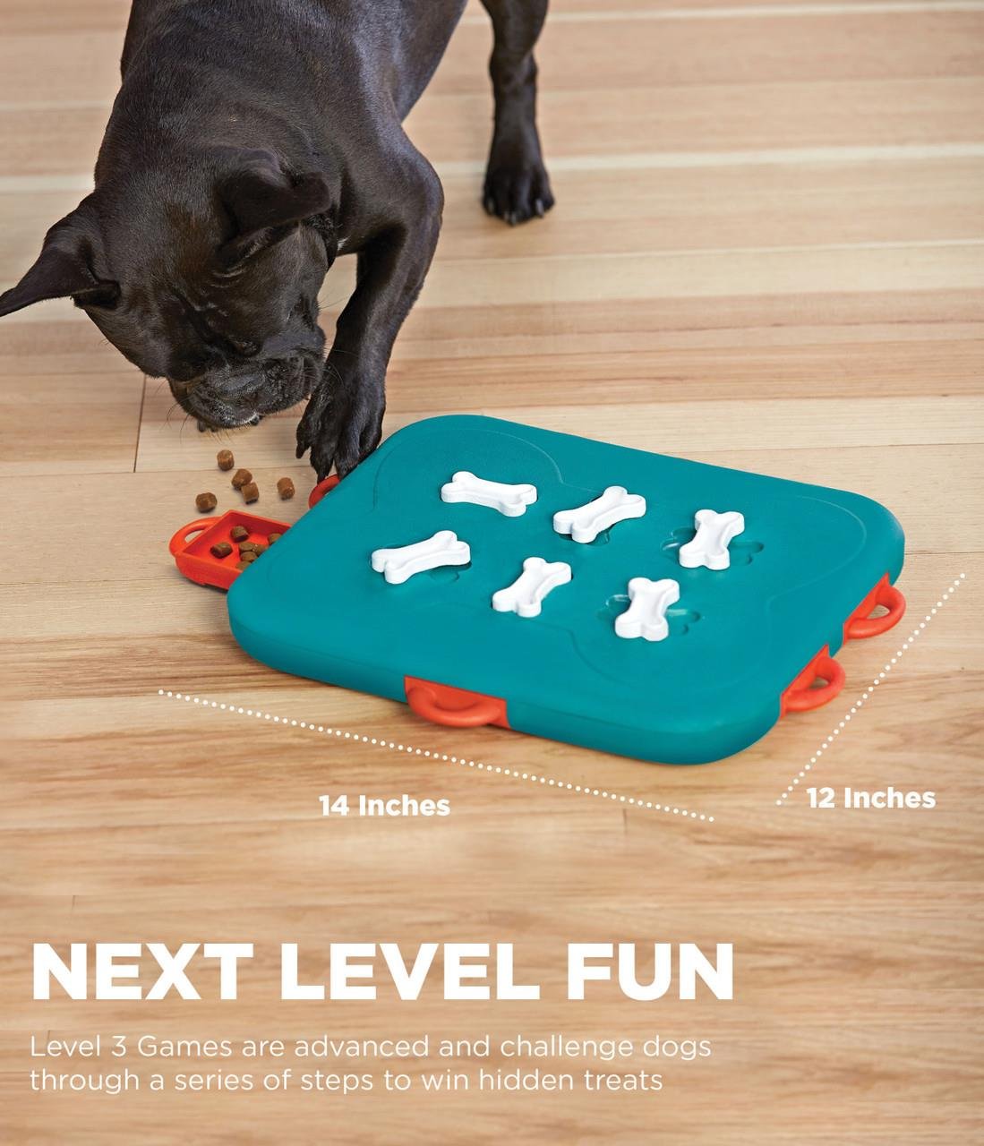 Dog Casino Turquoise İnteraktif Köpek Oyuncağı - 67334M