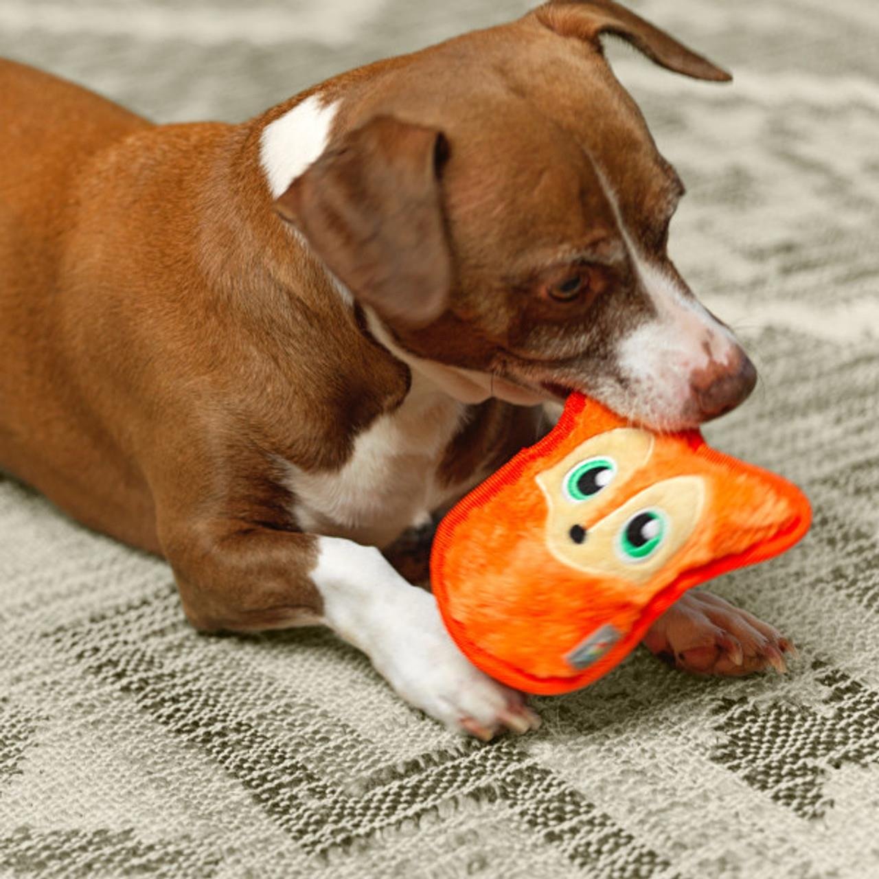 Durablez Fox Org XS - 68140M Köpek Oyuncağı