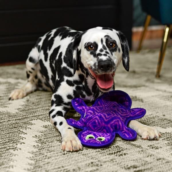 Durablez Gecko Grn 0Köpek Oyuncağı Medium - 32070M