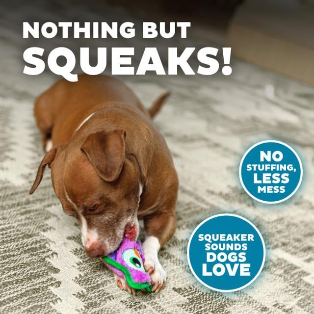 Durablez Owl Prp XS - 68146M Köpek Oyuncağı