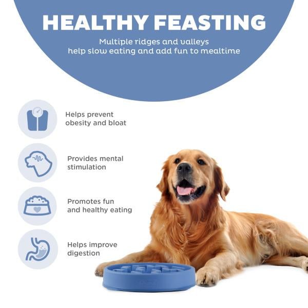Fun Feeder Notch Blue Large Köpek Yavaş Yeme Mama Kabı - 67831M