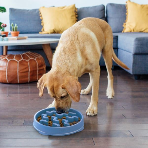 Fun Feeder Notch Blue Large Köpek Yavaş Yeme Mama Kabı - 67831M