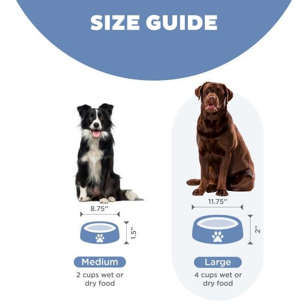 Fun Feeder Notch Blue Large Köpek Yavaş Yeme Mama Kabı - 67831M