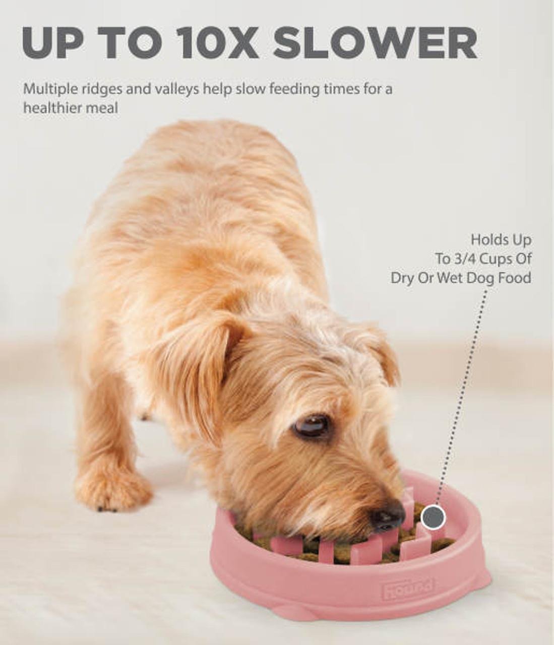 Fun Feeder Slo Bowl Yavaş Yeme Mama Kabı - 67954