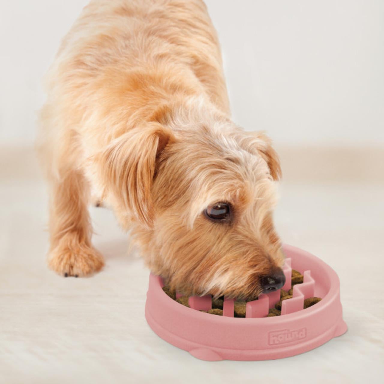 Fun Feeder Slo Bowl Yavaş Yeme Mama Kabı - 67954