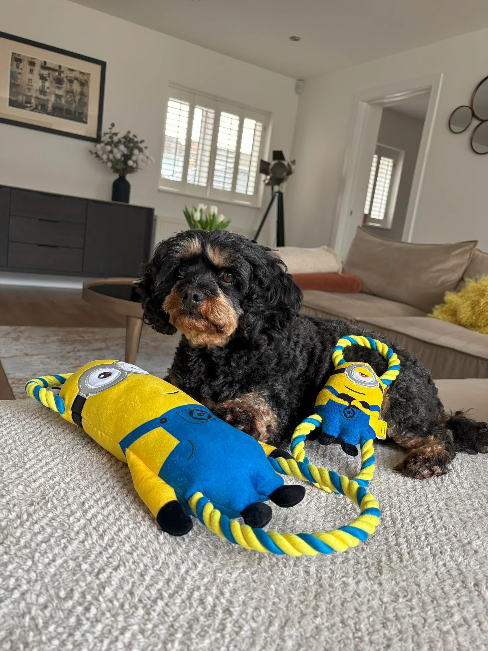 Minion® Double Tug Large - Stuart - 15707