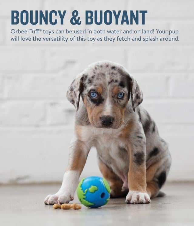 Orbee Ball Blu/Grn SM - 68669M Köpek Oyuncağı