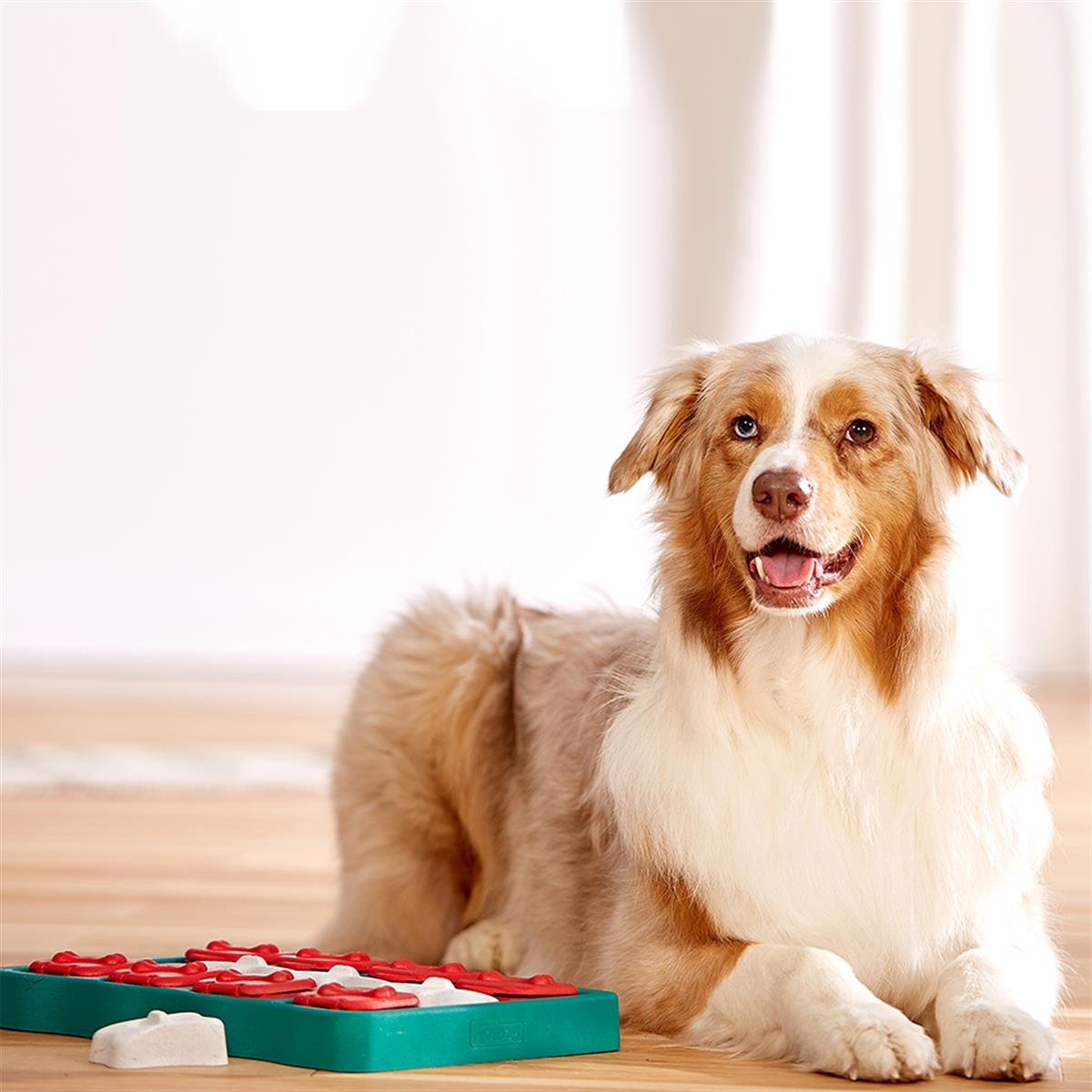 Outward Hound Dog Brick Interactive Treat Puzzle Köpek Oyuncağı, Mavi - 67333M