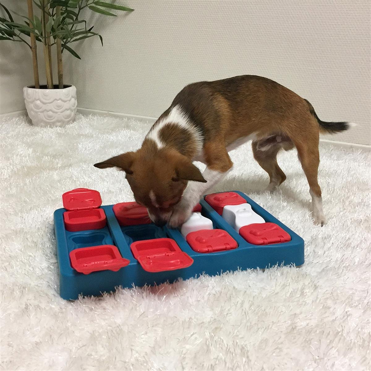 Outward Hound Dog Brick Interactive Treat Puzzle Köpek Oyuncağı, Mavi - 67333M