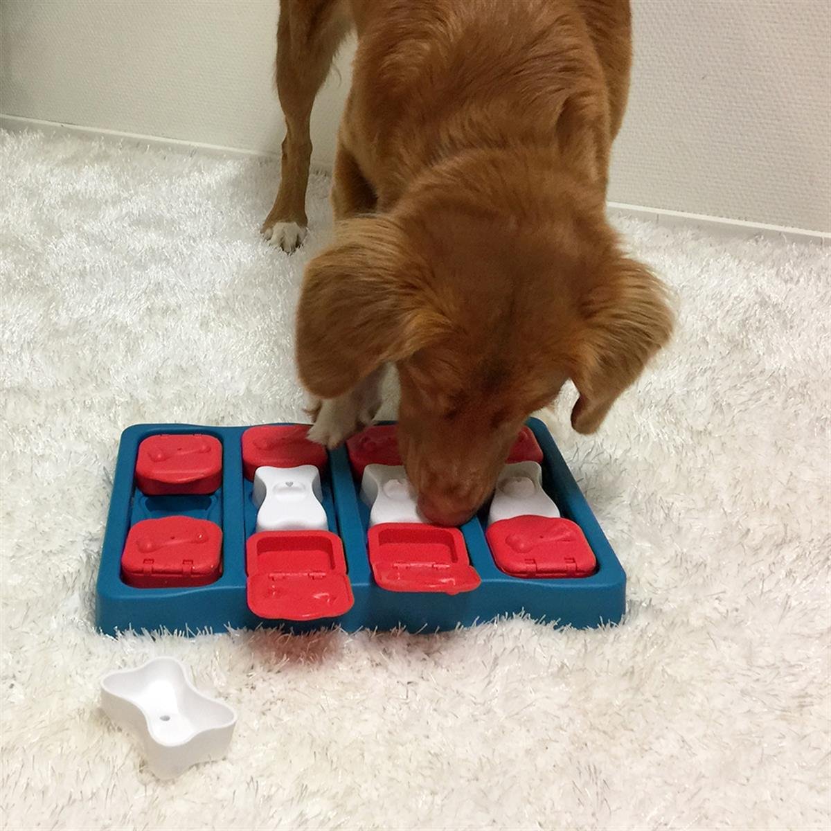 Outward Hound Dog Brick Interactive Treat Puzzle Köpek Oyuncağı, Mavi - 67333M