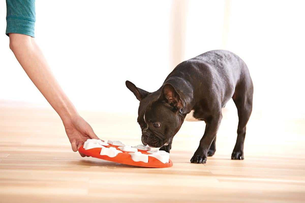 Outward Hound Dog Smart Interactive Treat Puzzle Köpek Oyuncağı, Turuncu - 67331M