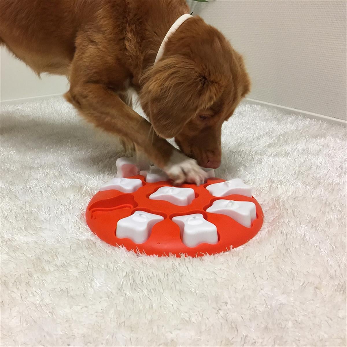 Outward Hound Dog Smart Interactive Treat Puzzle Köpek Oyuncağı, Turuncu - 67331M