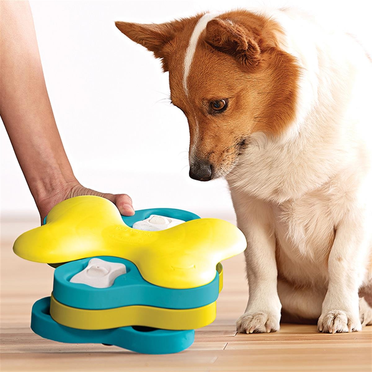Outward Hound Dog Tornado Interactive Treat Puzzle Köpek Oyuncağı, Mavi - 67332M