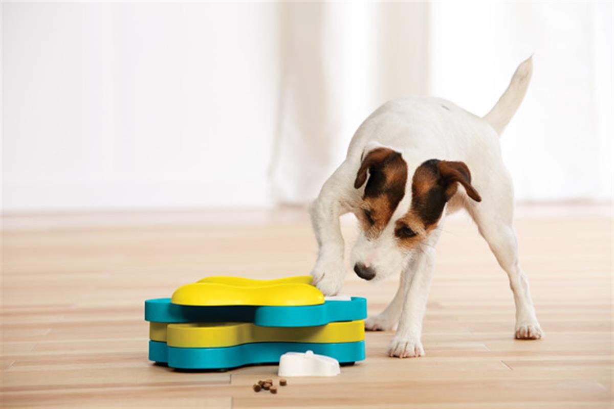 Outward Hound Dog Tornado Interactive Treat Puzzle Köpek Oyuncağı, Mavi - 67332M