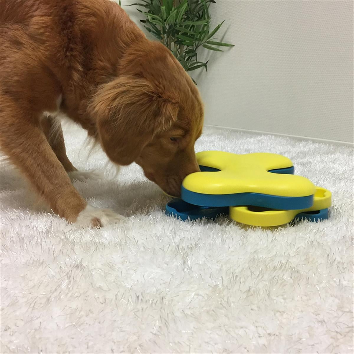 Outward Hound Dog Tornado Interactive Treat Puzzle Köpek Oyuncağı, Mavi - 67332M