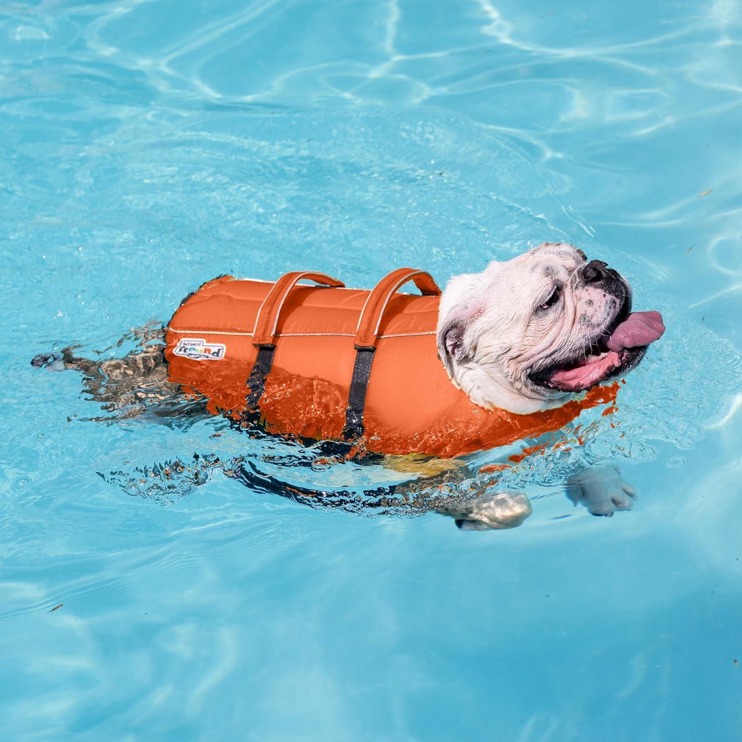 Outward Hound Granby Splash Turuncu Köpek Can Yeleği, XS - 22018M