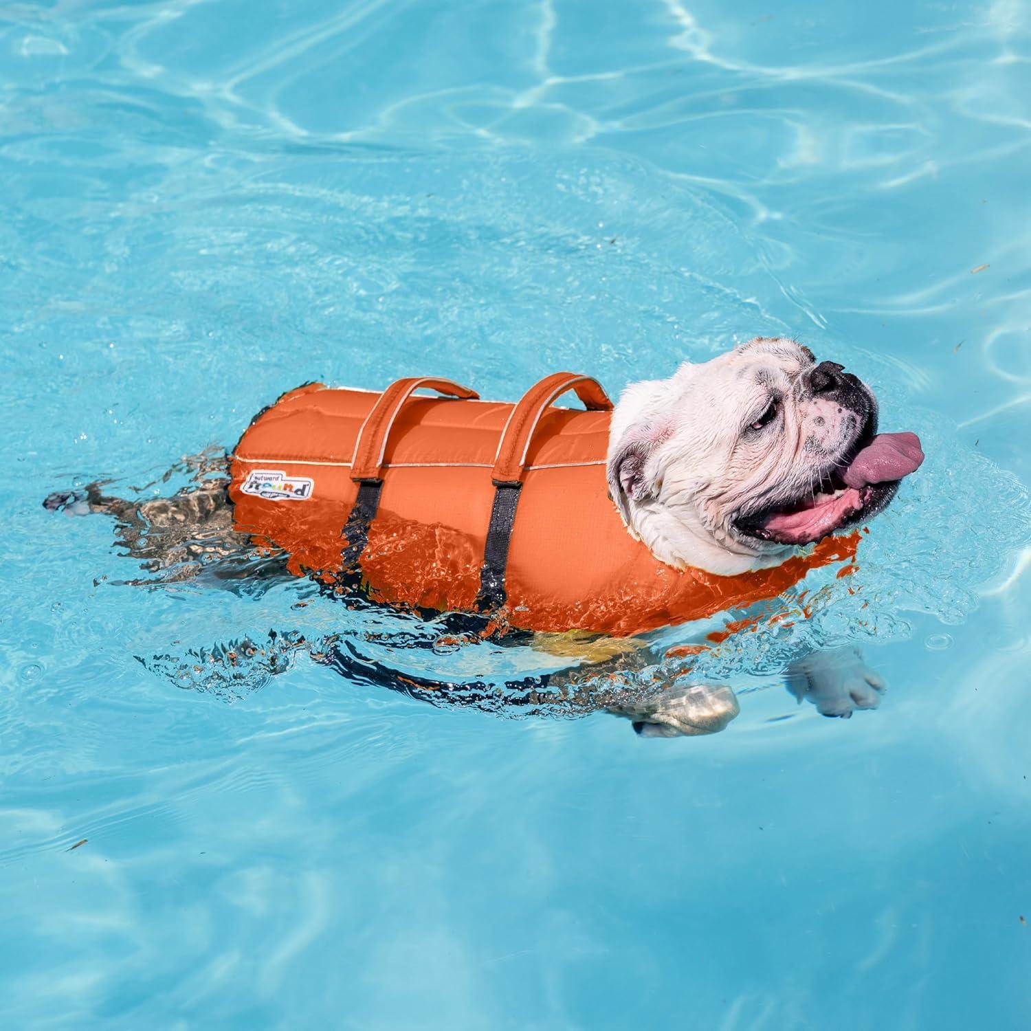 Outward Hound Granby Splash Turuncu Köpek Can Yeleği, XS - 22018M