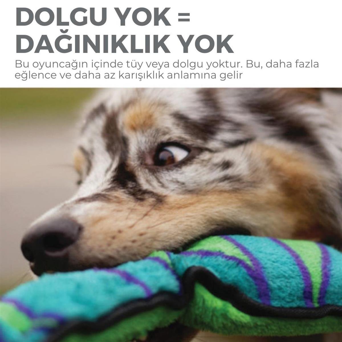 Outward Hound Invincibles Snake Plush Dog Toy, Large Köpek Oyuncağı - 32067M
