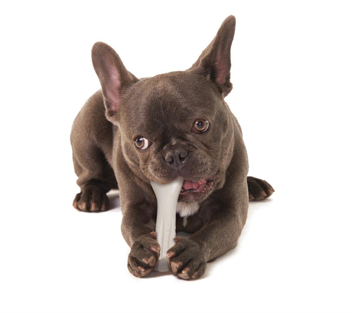 Petstages Deerhorn Antler Alternative Dog Chew Toy Köpek Çiğneme Oyuncağı - Xsmall - 667