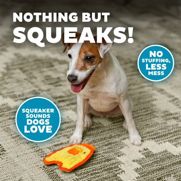 Petstages Durablez Chicky Ylw XS Köpek Oyuncağı - 67805