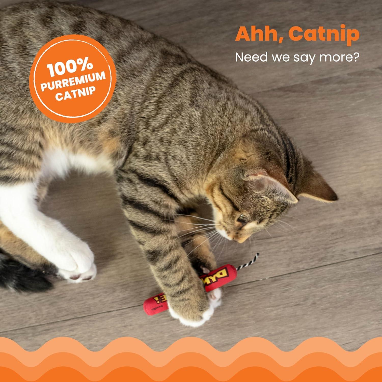 Petstages Green Magic Dynamite Stick Catnipli Kedi Oyuncağı - 651M