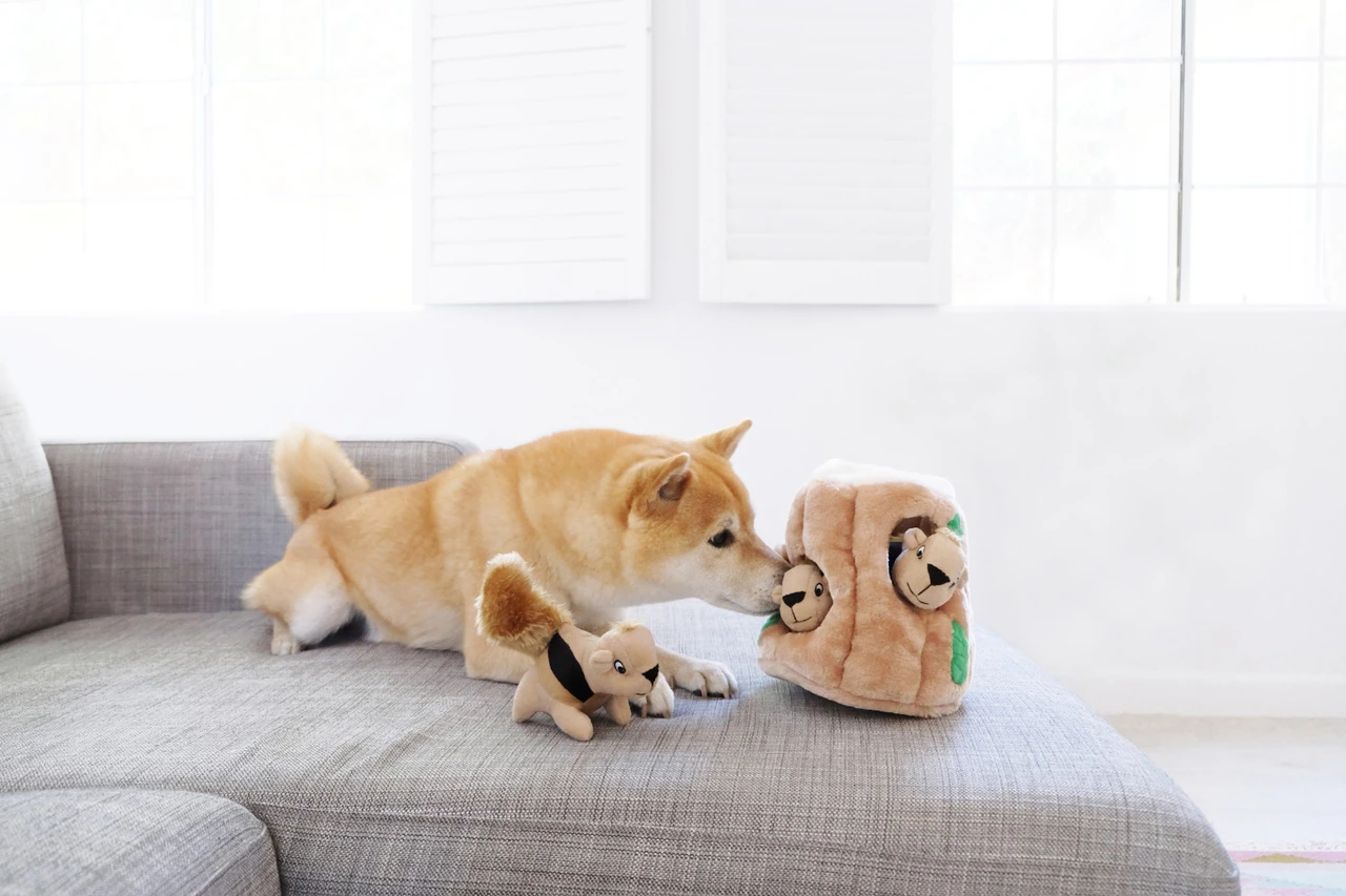 Petstages Hide A Squirrel Brn SM Köpek Oyuncağı - 31001M