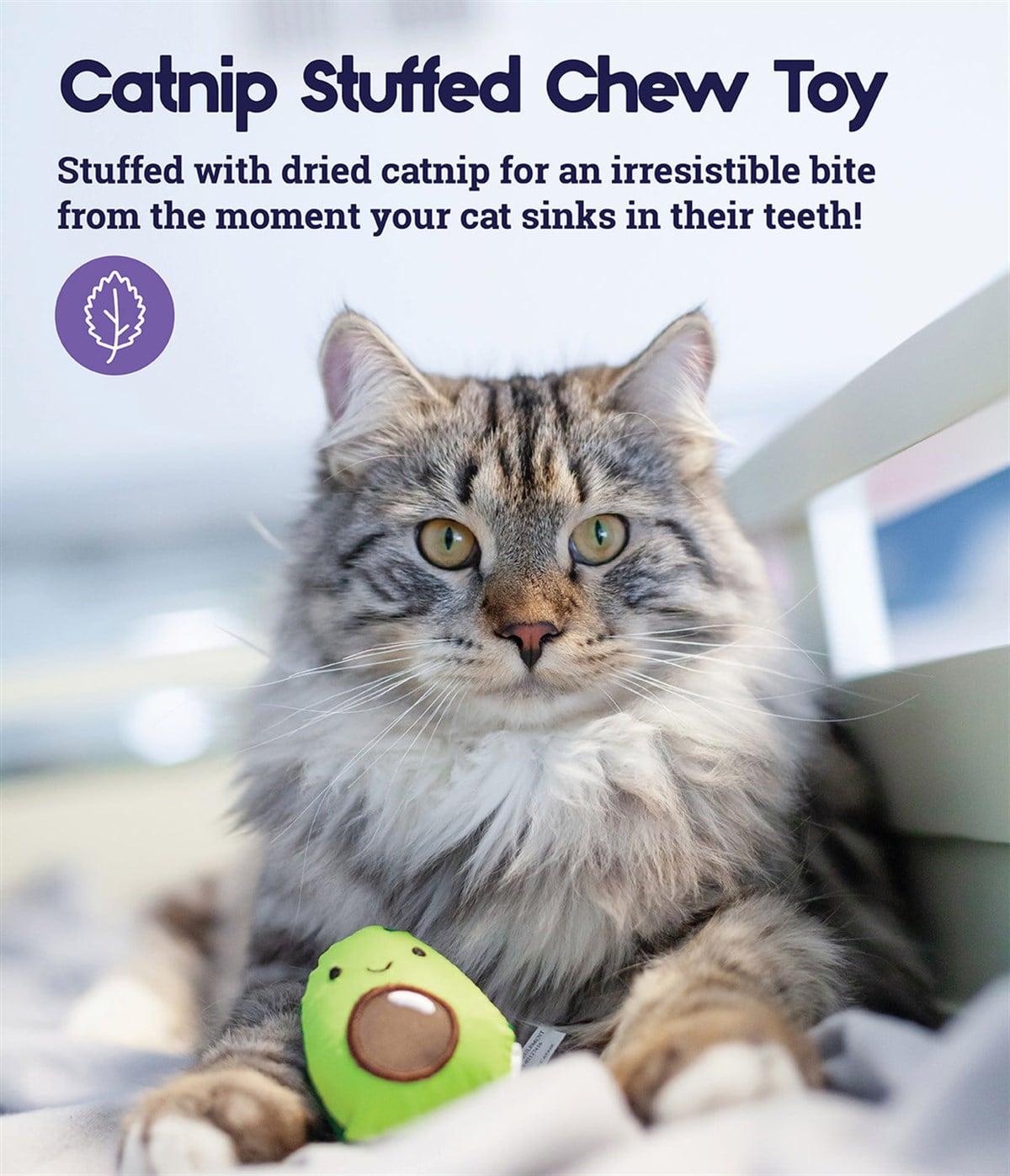 Petstages Lil' Avocato Diş Sağlığı Kedi Çiğneme Oyuncağı