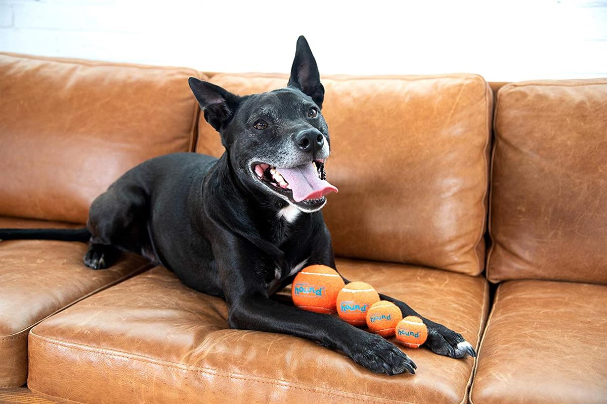 Petstages Squeaker Ballz Squeaky Tenis Topları, Small - 68001