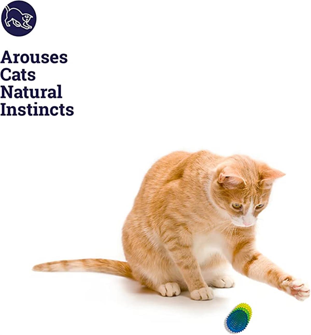 Petstages Toss N' Flip Chips Chew Kedi Oyuncağı, Mavi - 67842