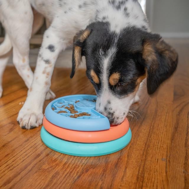 Puppy Lickin' Layers Multi Akıllı Köpek Mama Kabı - 70886M
