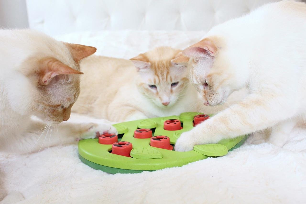 Puzzle & Play Buggin Out Green İnteraktif Kedi Oyuncağı - 69479M